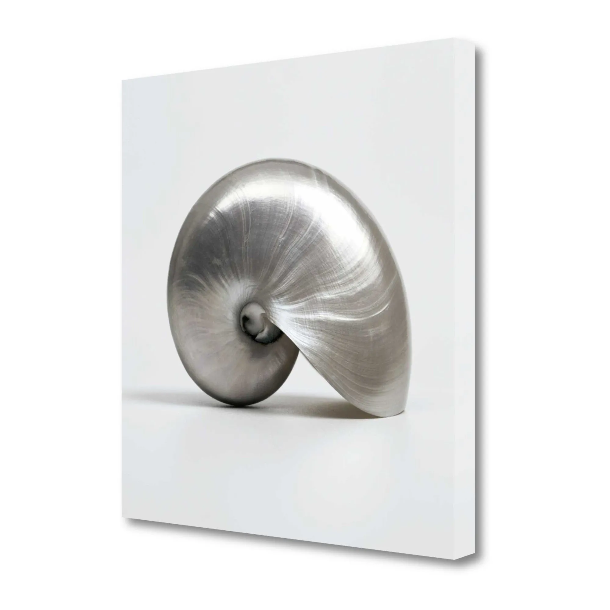 22" Contemporary Metallic Seashell Print on Gallery Wrap Canvas Wall Art