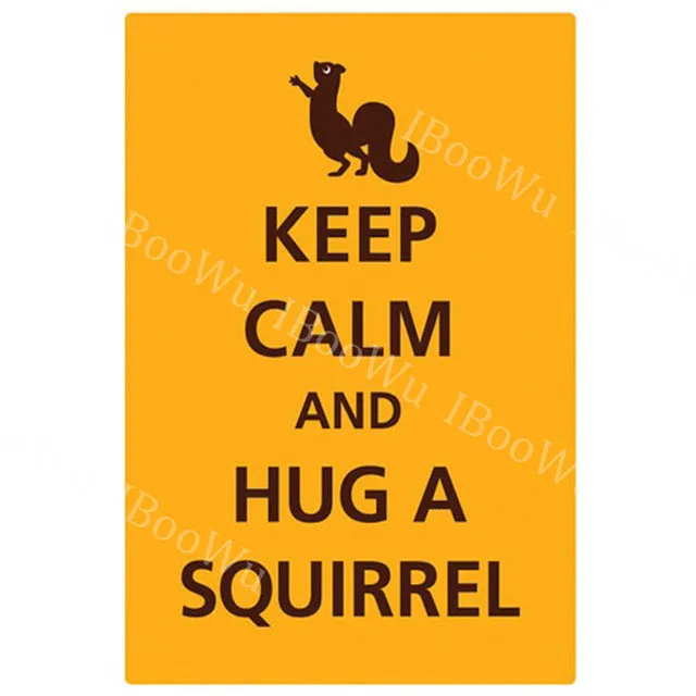 30x20cm Keep Calm and Carry On Metal Tin Sign Plate