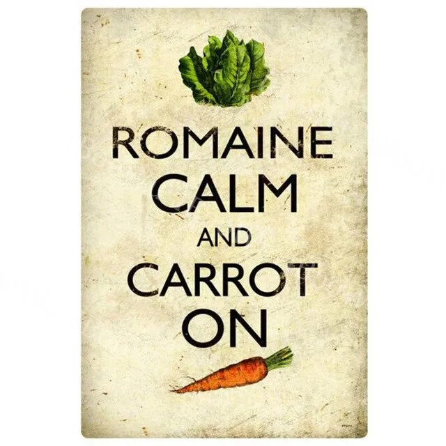 30x20cm Keep Calm and Carry On Metal Tin Sign Plate