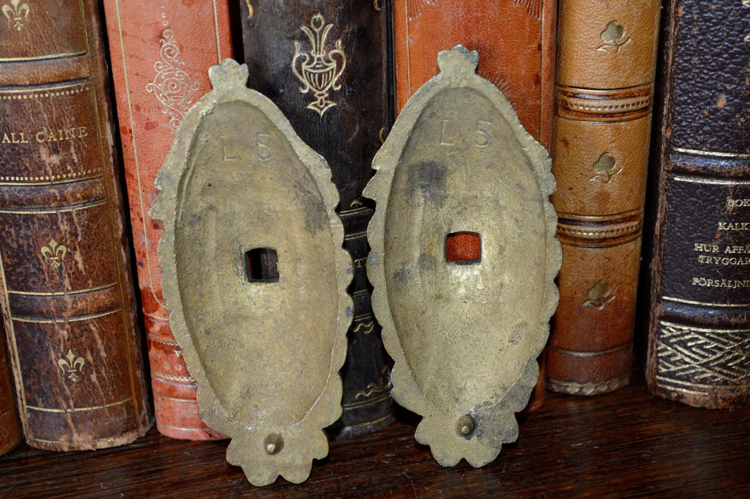 Antique Pair French Backplates Bronze Door Mount Hardware