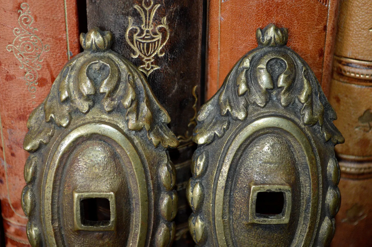 Antique Pair French Backplates Bronze Door Mount Hardware