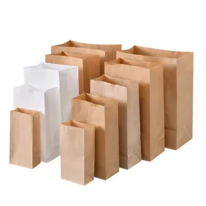 Brown Bag | Disposable Kraft Paper Bag | Customizable