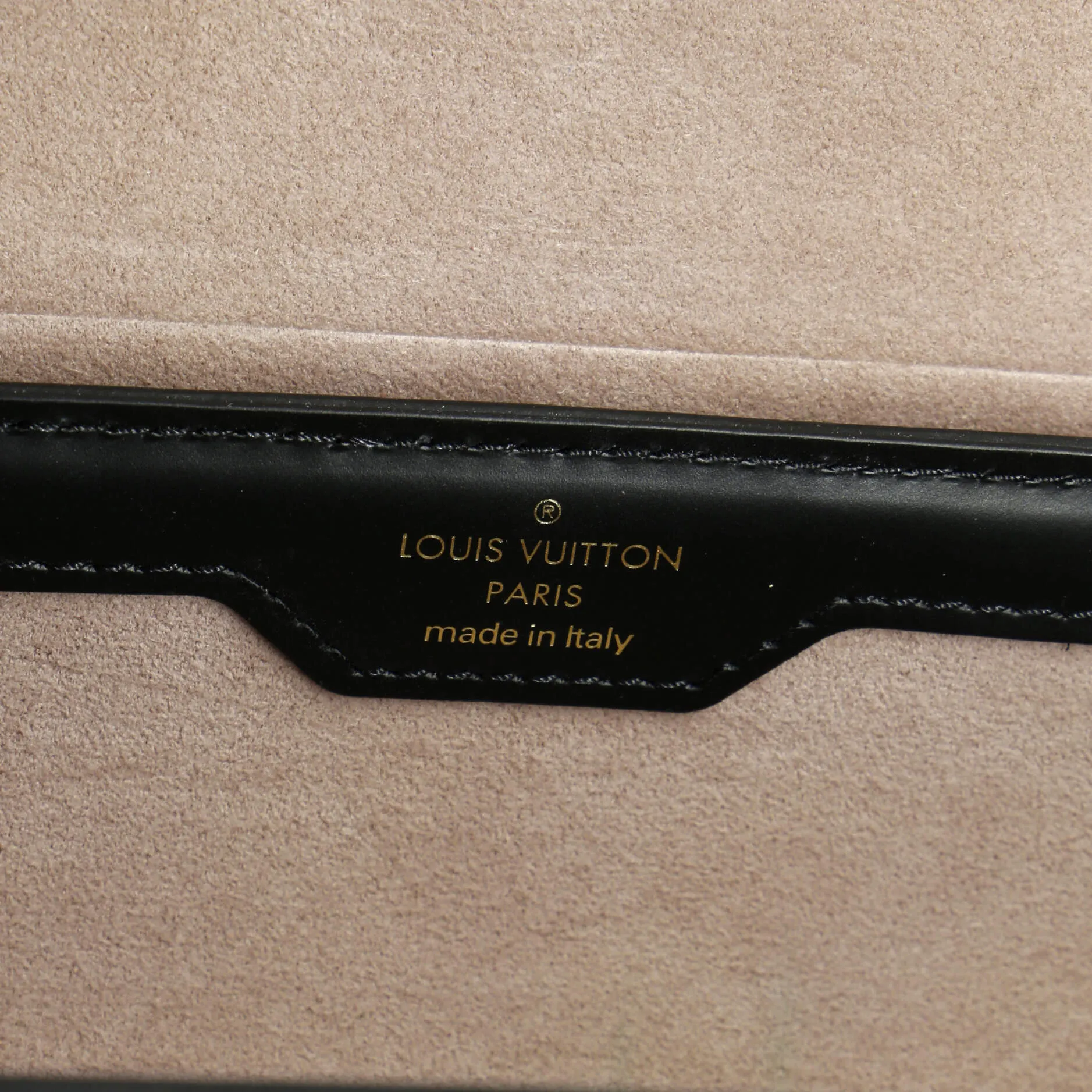 Designer Papillon Trunk Bag Epi Leather