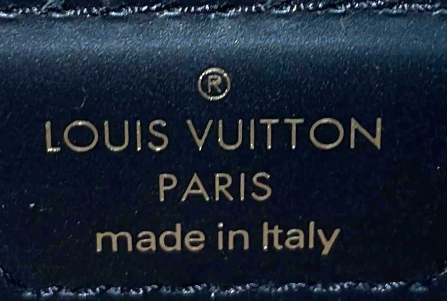 Designer Papillon Trunk Bag Epi Leather
