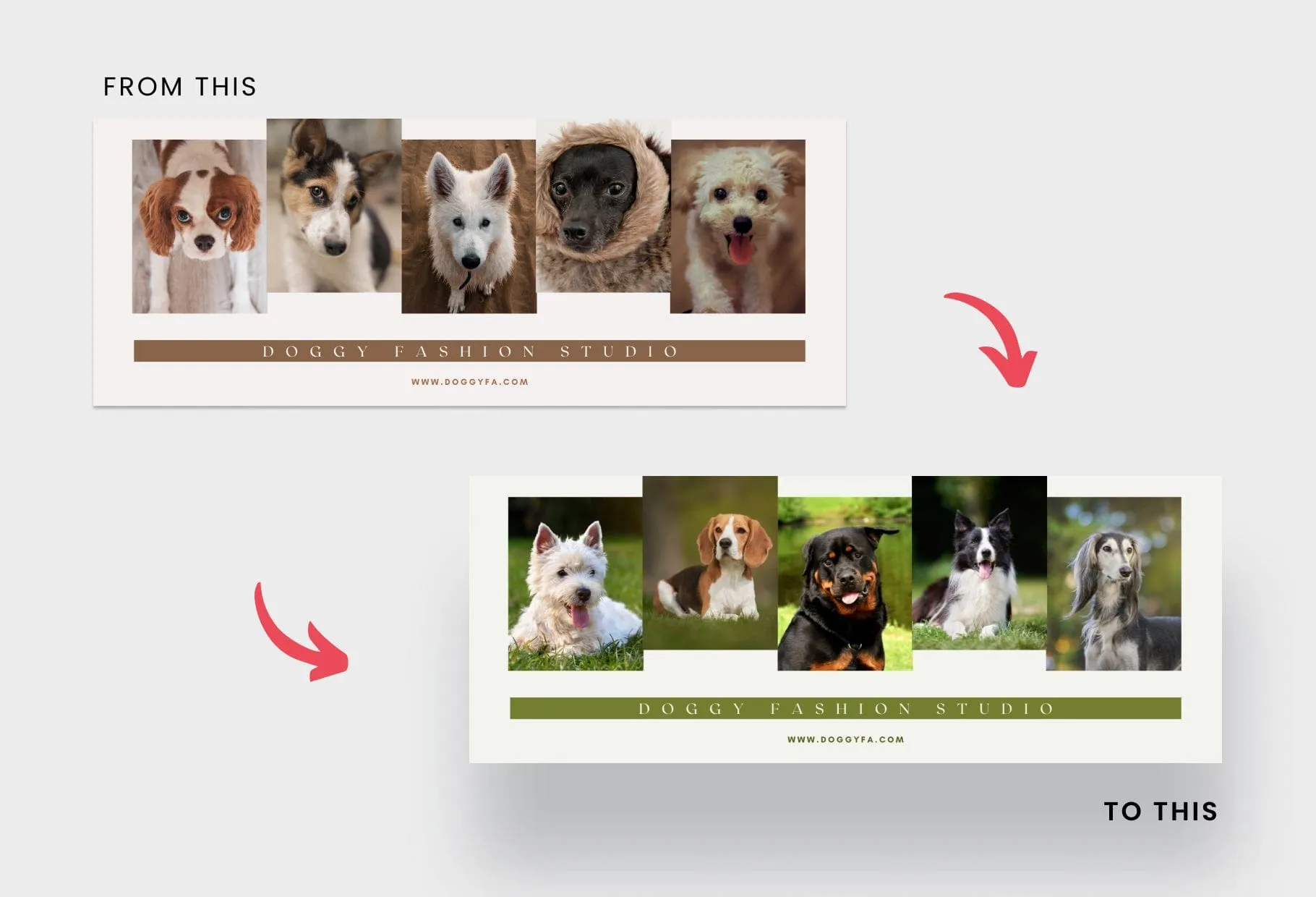 Doggy Fashion Studio Facebook Cover for Photographers Editable Canva Template