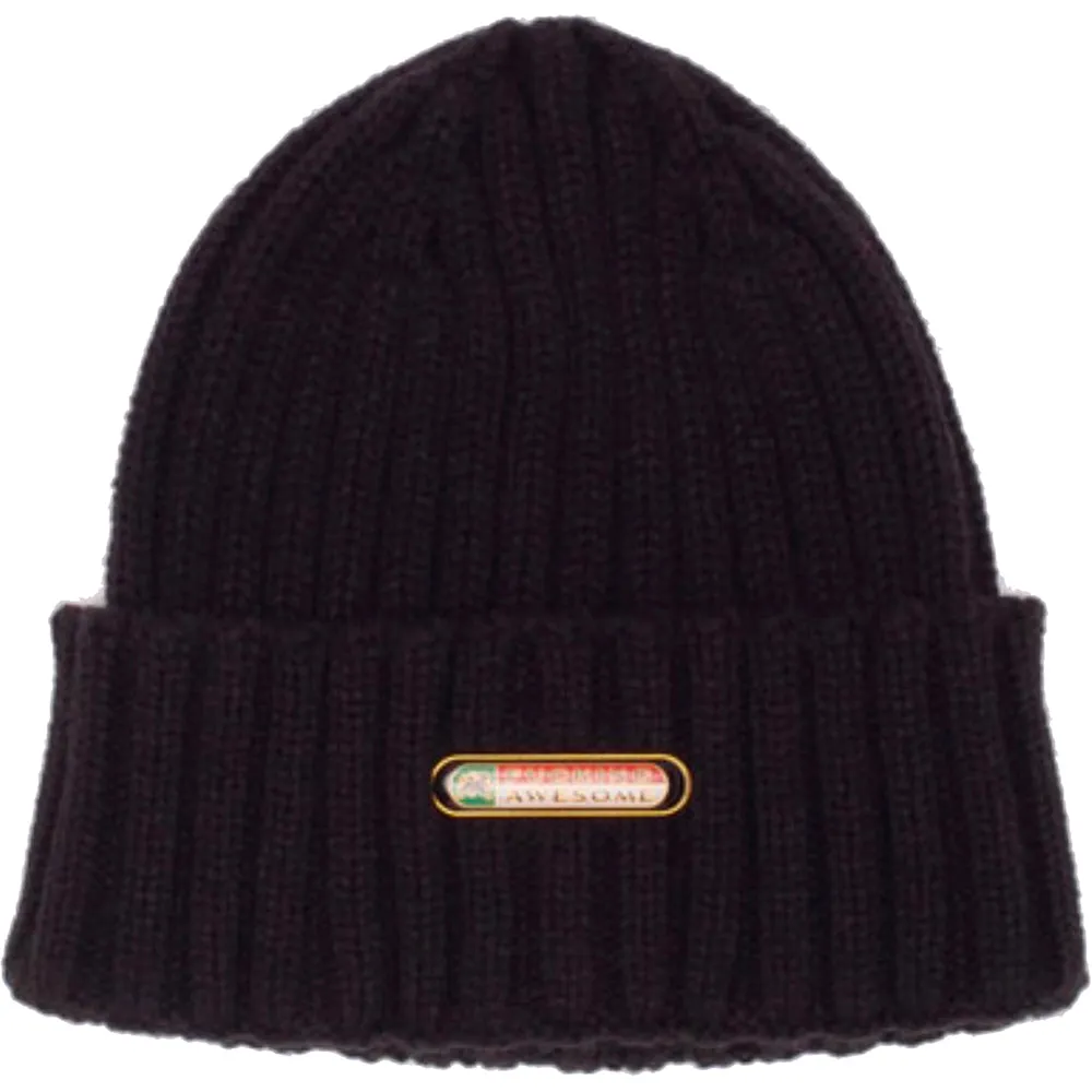 Fucking Awesome Judah Beanie Black