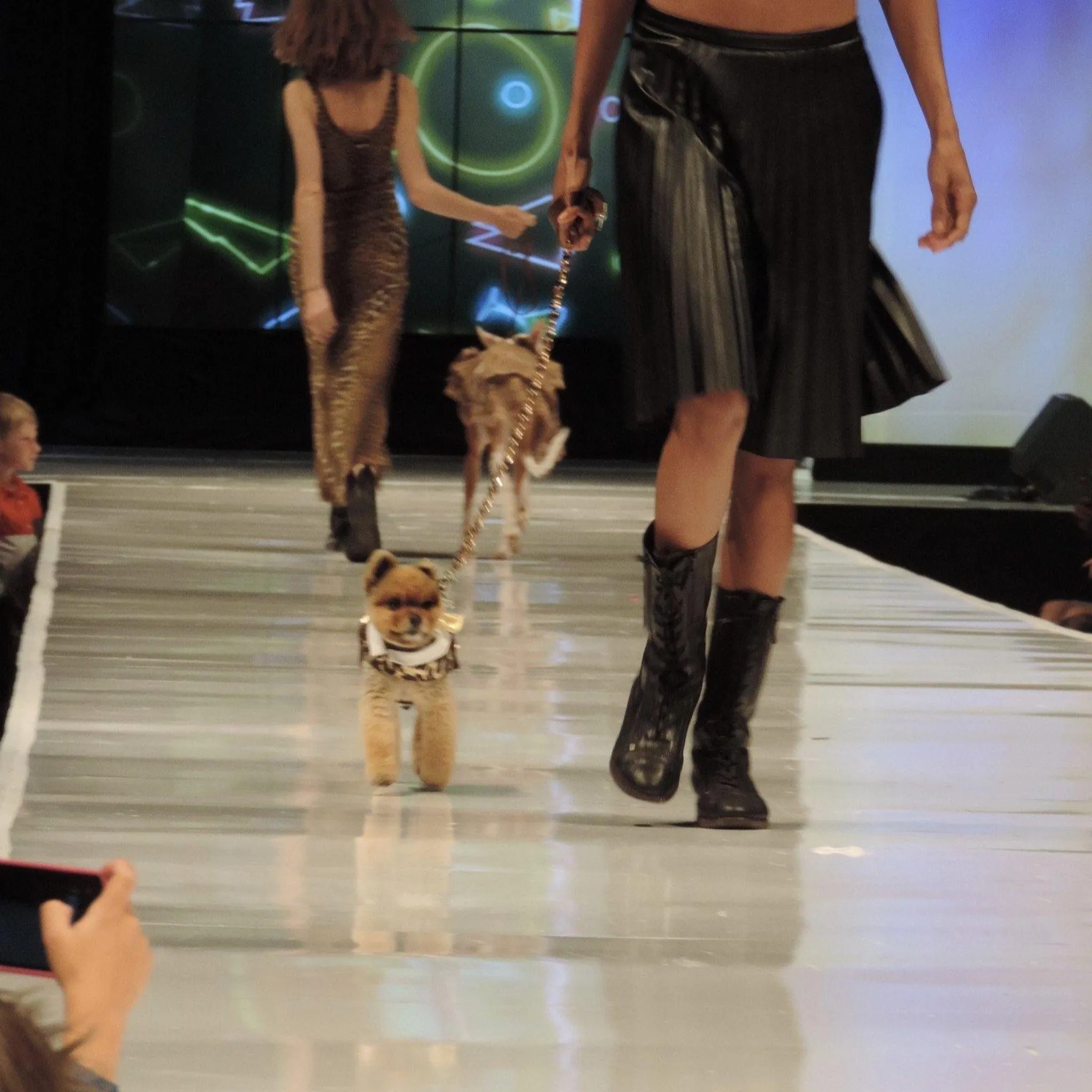 Gold and Brown Metallic Animal Print Dog Vest - Small