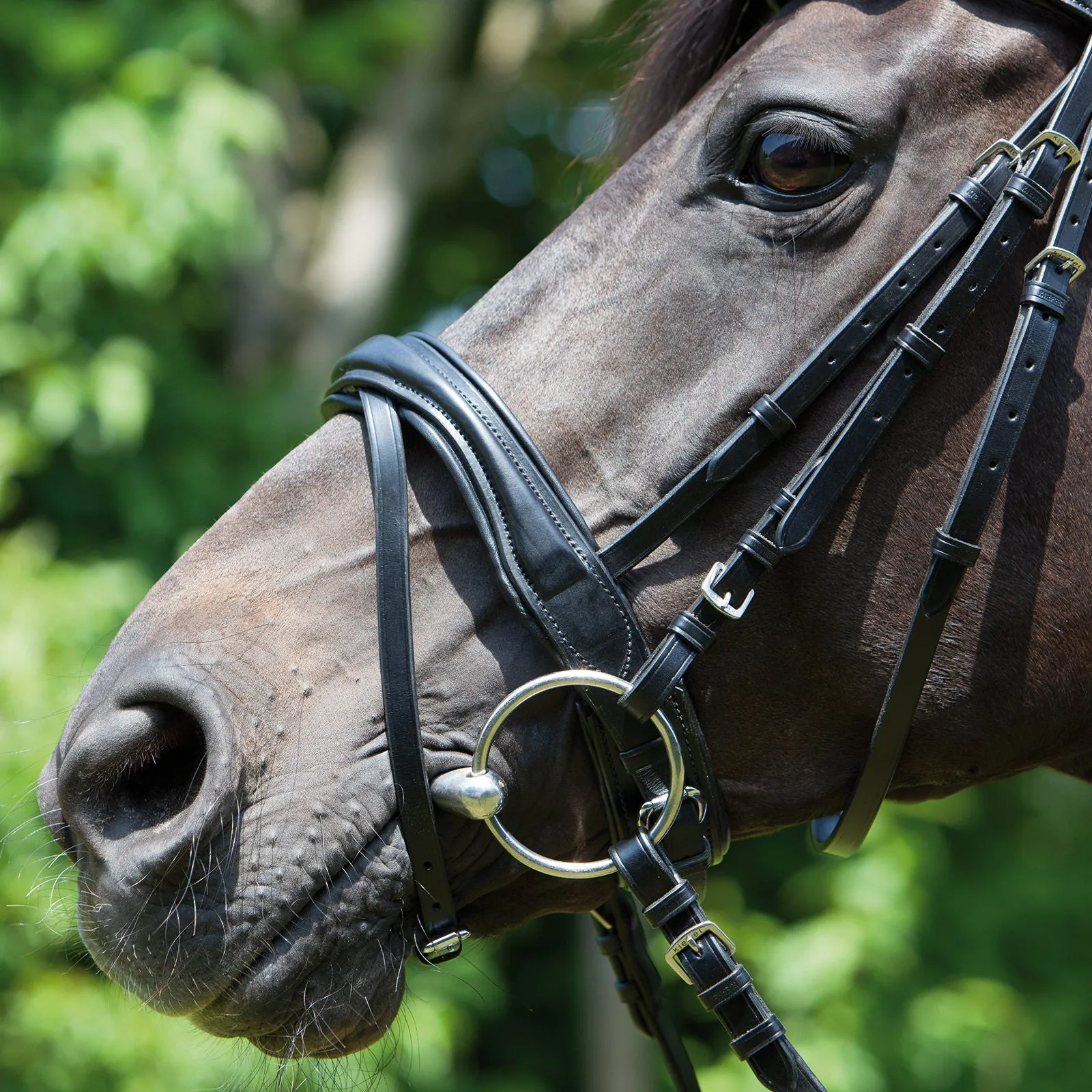 Kieffer Perseus Snaffle Bridle