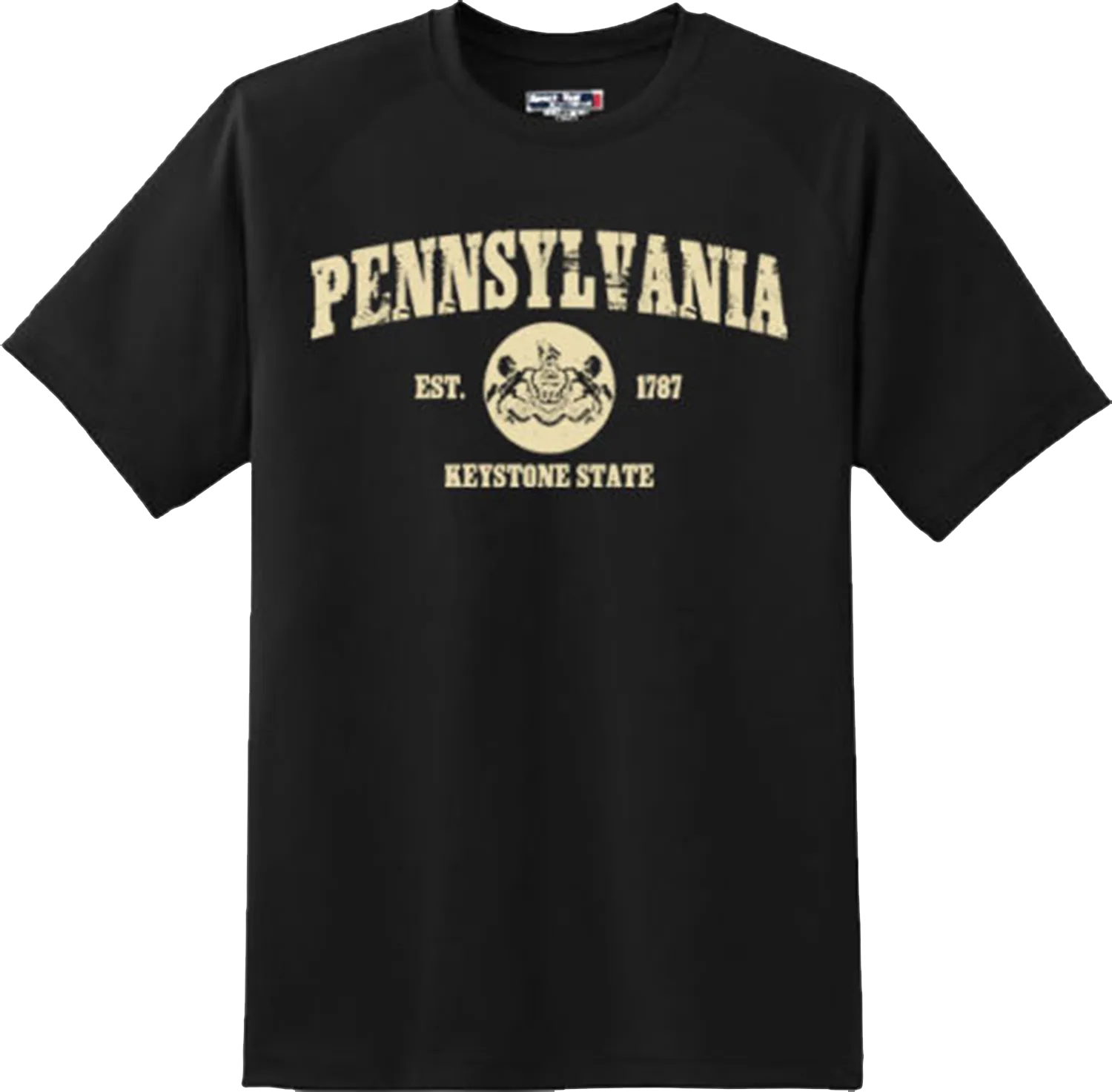 Pennsylvania State Vintage Retro Hometown America Gift T Shirt New Graphic Tee