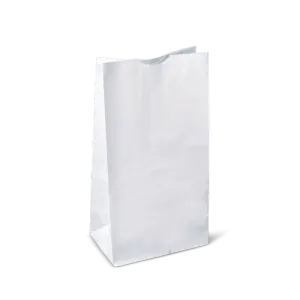 RiteEarth - 10 Lbs Plain White Paper Bag, Pack of 500, 2Bn/Case (1000/Case) - PB100W