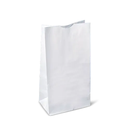 RiteEarth - 10 Lbs Plain White Paper Bag, Pack of 500, 2Bn/Case (1000/Case) - PB100W