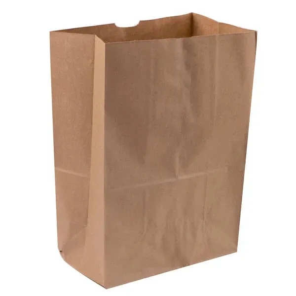 RiteEarth - 1/8 Kraft Plain Paper Barrel Bag, Pack of 500 - PB850K