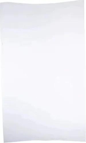 RiteSource - 1 lb, 5 x 8" White Poly Bags, 500/bx - 0306500