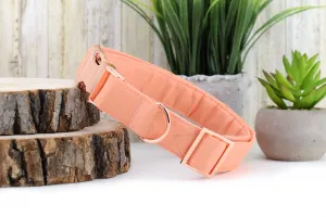 Solid Apricot Dog Collar