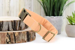 Solid Marmalade Dog Collar
