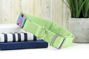 Solid Spring Green Dog Collar