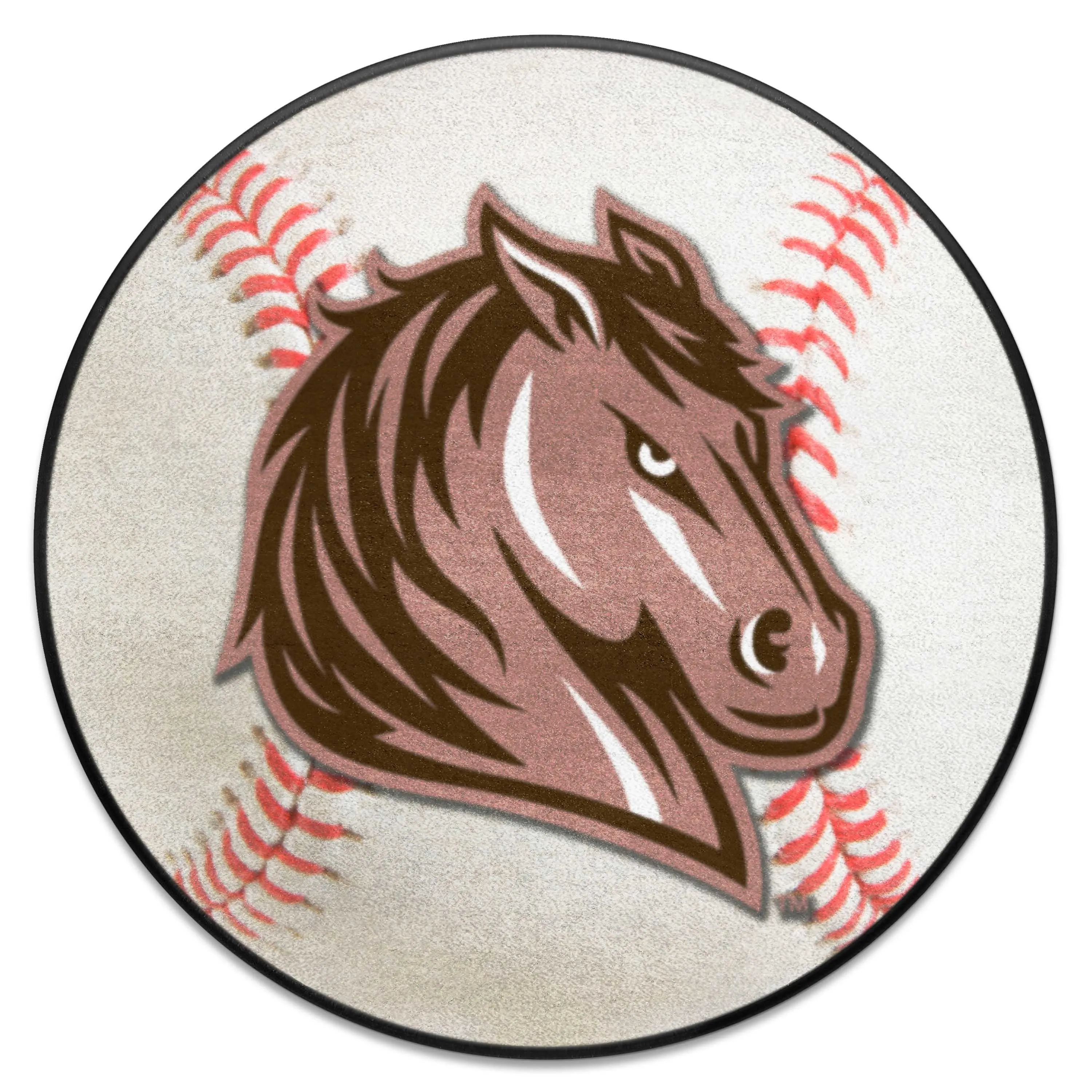 Southwest Minnesota State Univ Baseball Mat