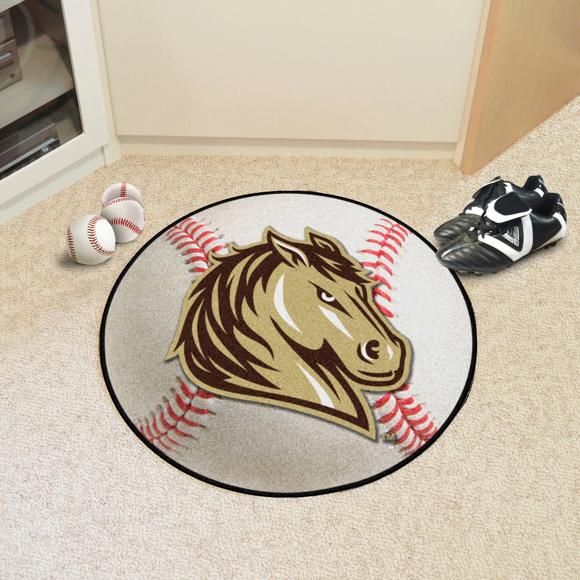 Southwest Minnesota State Univ Baseball Mat