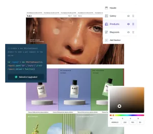 Store Designing, Development & Setup