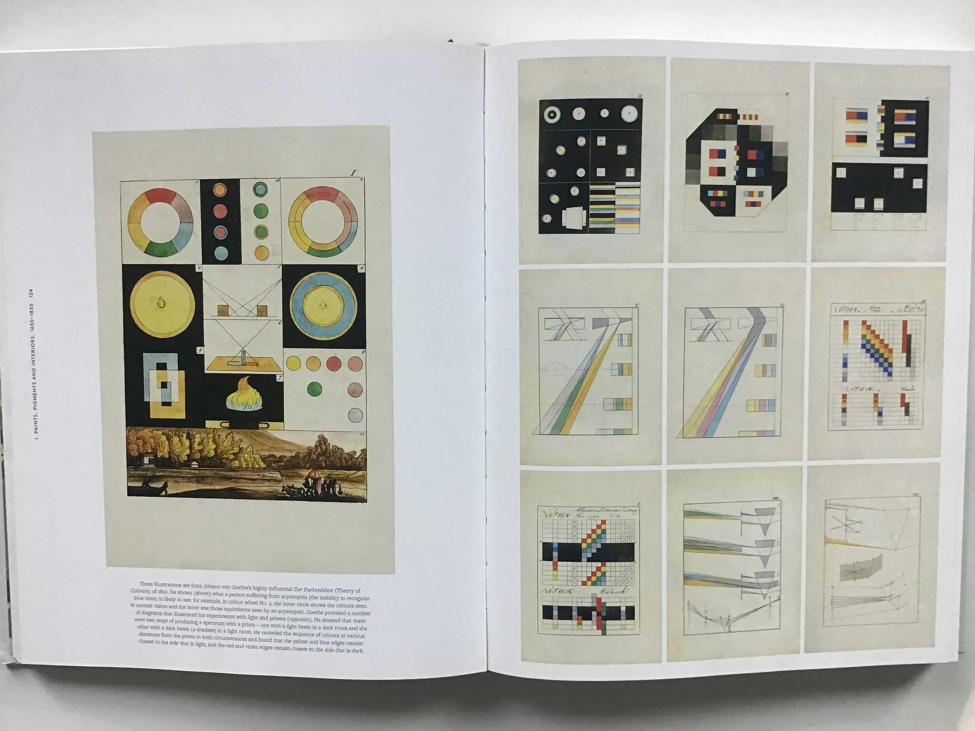 The Anatomy of Color