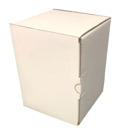 White Carton for Temporary Urn